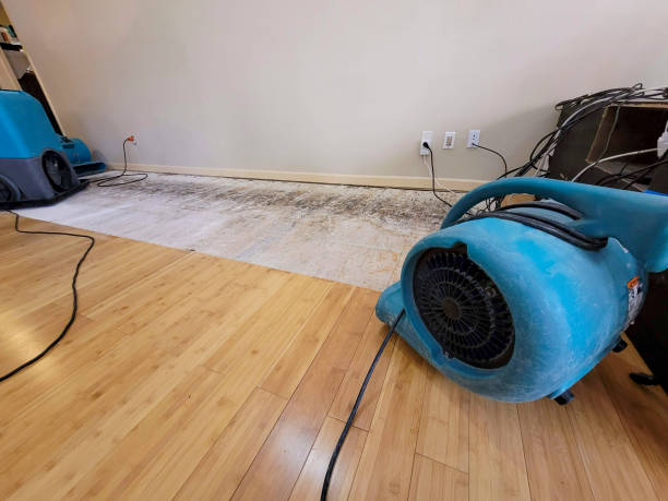 Professional Water Damage Repair technician working in Bethlehem, PA